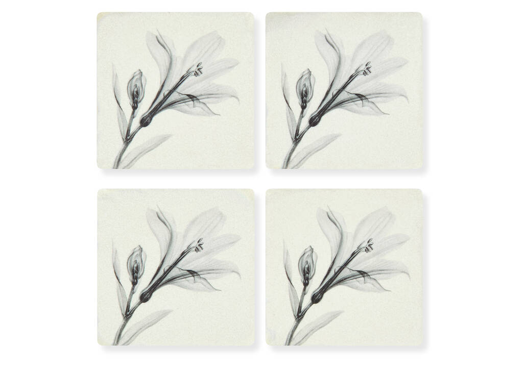 Floral Coaster Set